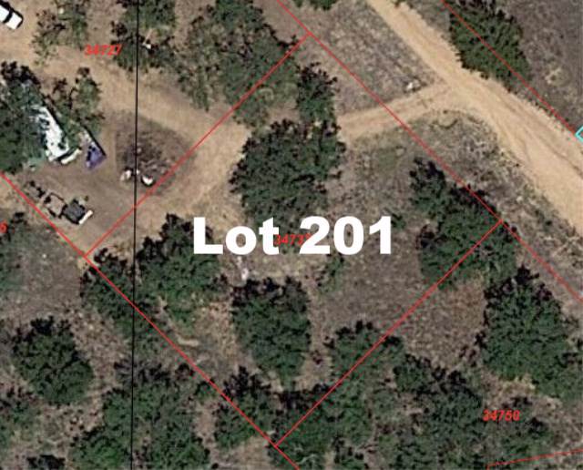 Lot 201 Longmont - Photo 1