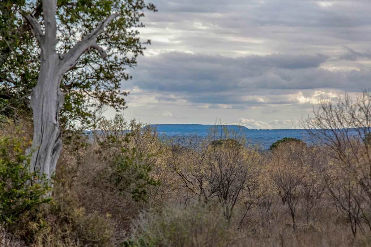 0000 Maso-Llano Road - Photo 1