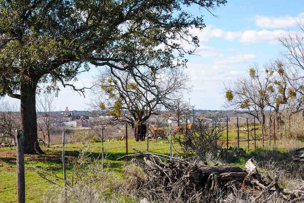 804 Tarrant Street - Photo 1