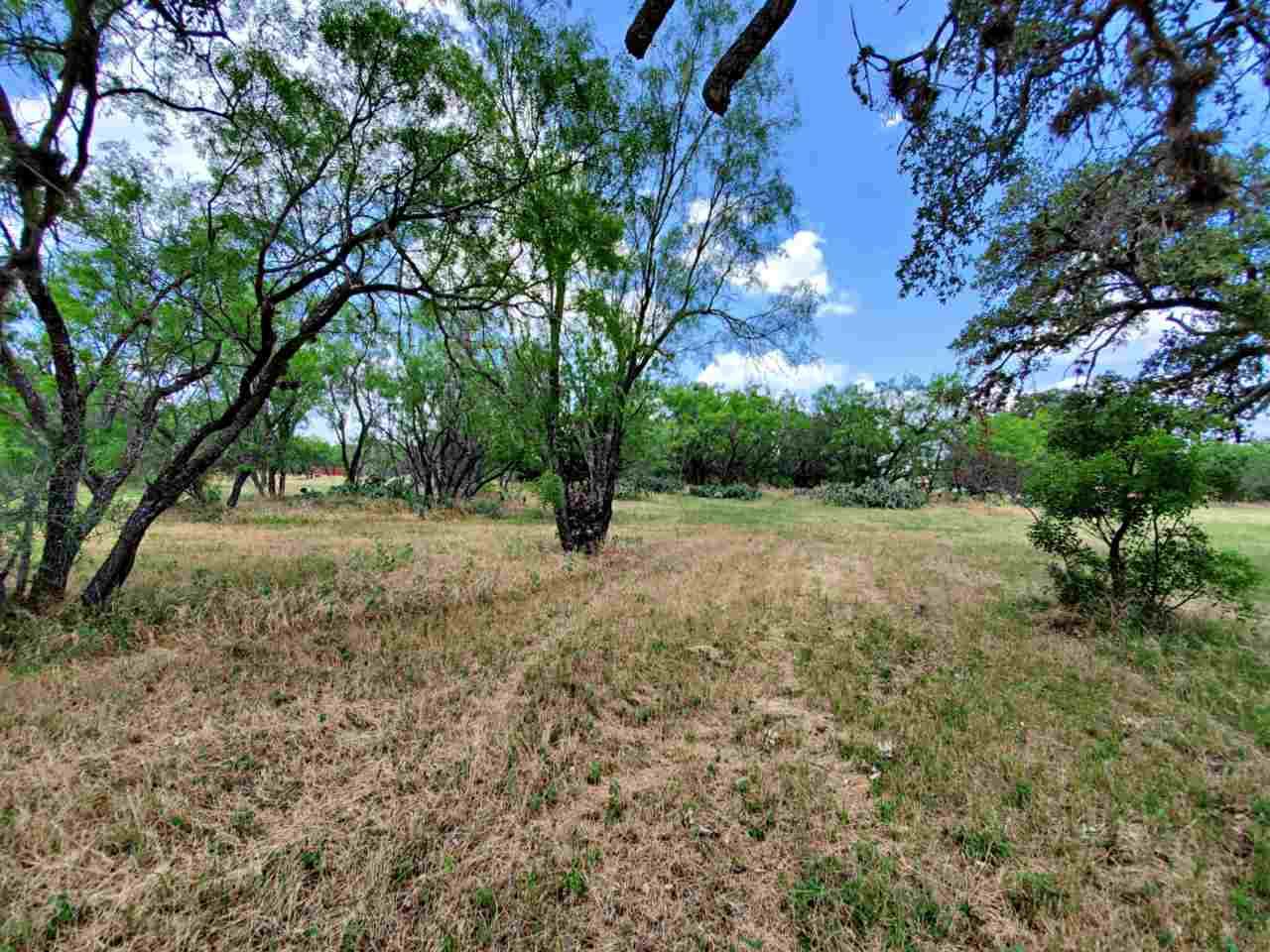 TBD Naumann Drive - Photo 1