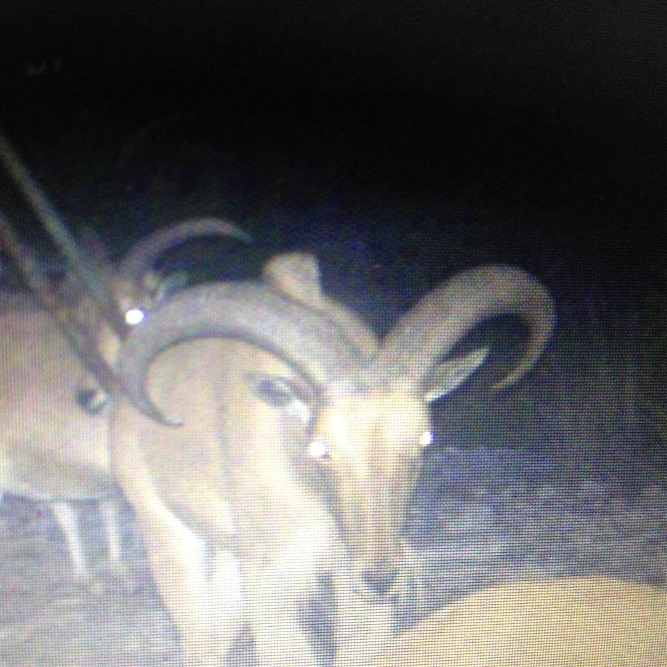 00 Dolan Creek Rd - Photo 1