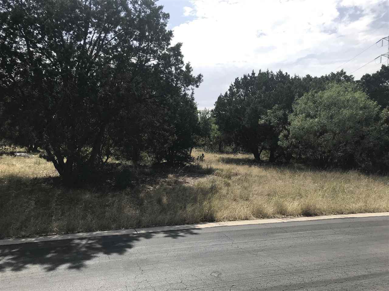 Lot 14002 Great Western - Photo 1