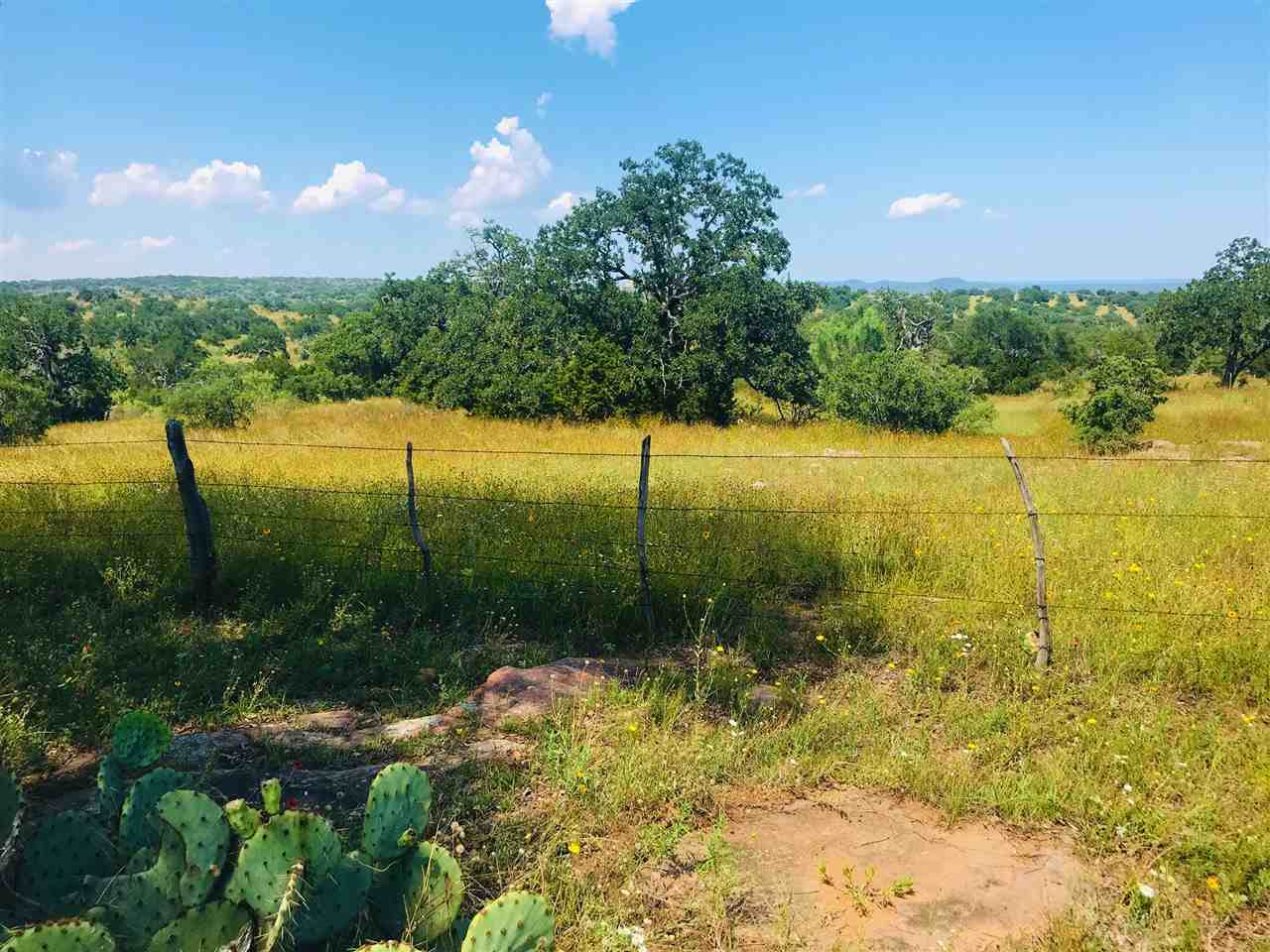 6156 Hwy 16 Highway - Photo 1