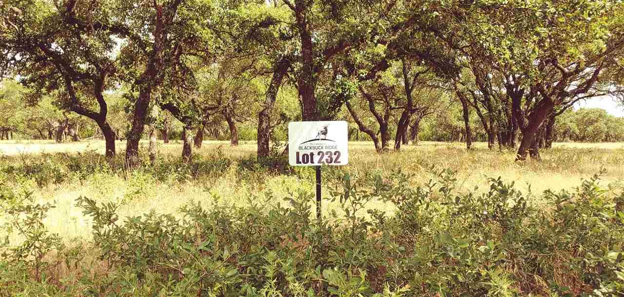 000 Blackbuck Ridge Drive - Photo 1