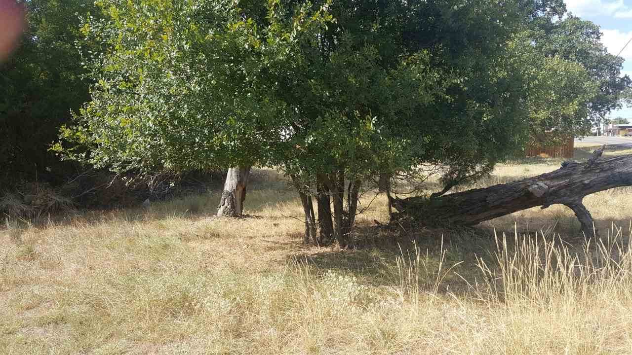 lot 459 Phillips Ranch Road - Photo 1