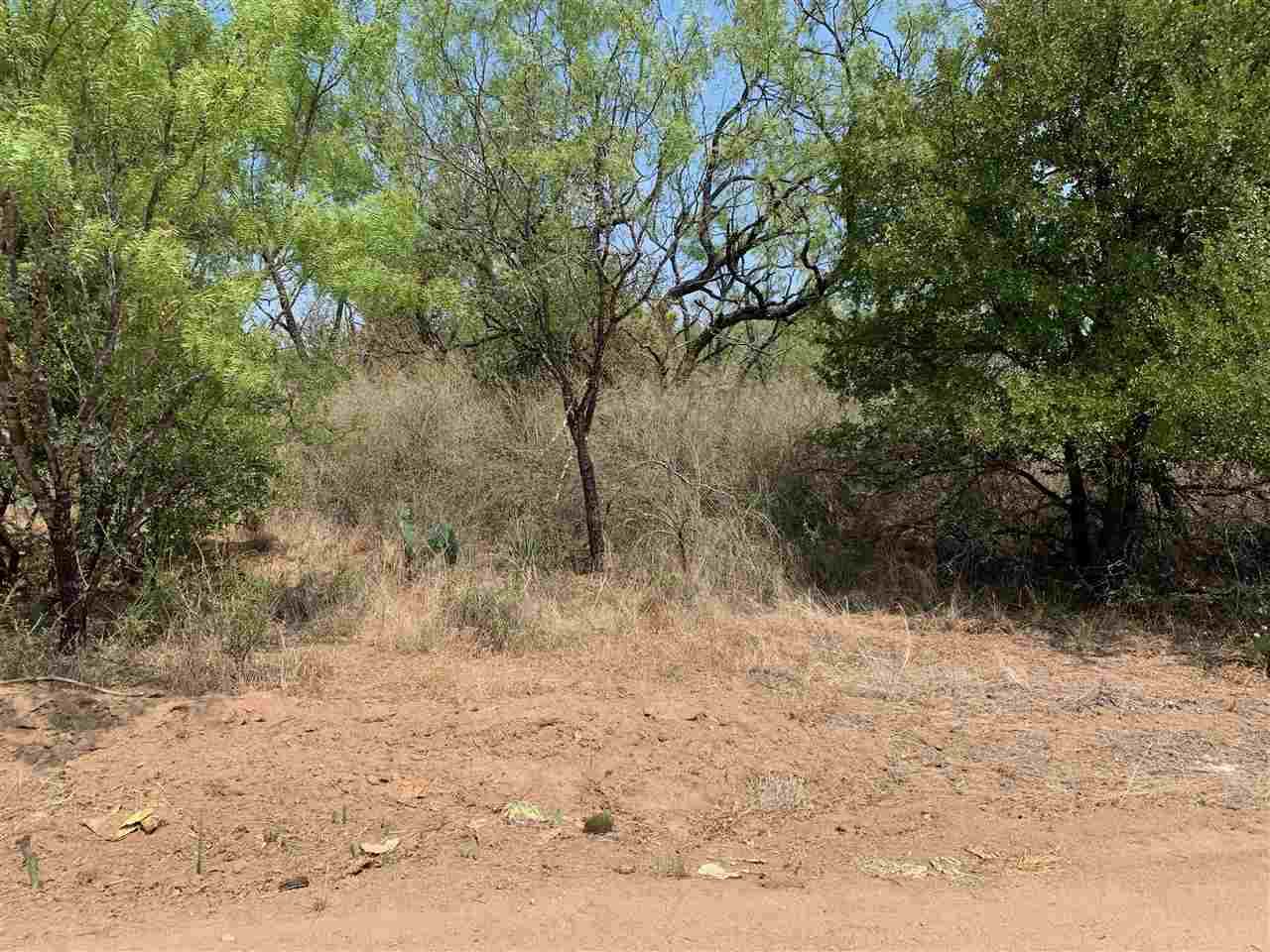 Lot 125 Brent - Photo 1