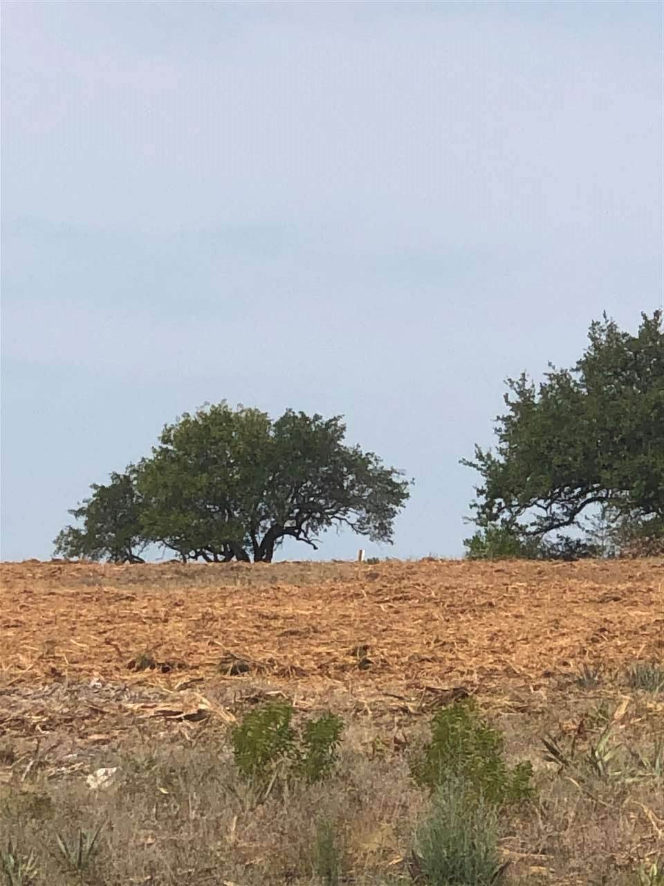 00 County Road 281 - Photo 1