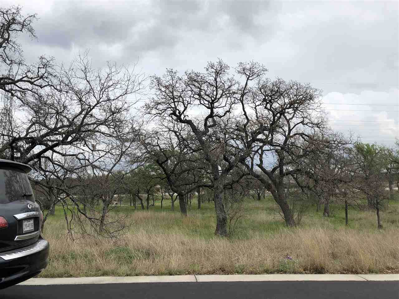Lot 7007 Big Spur/Ferguson - Photo 1
