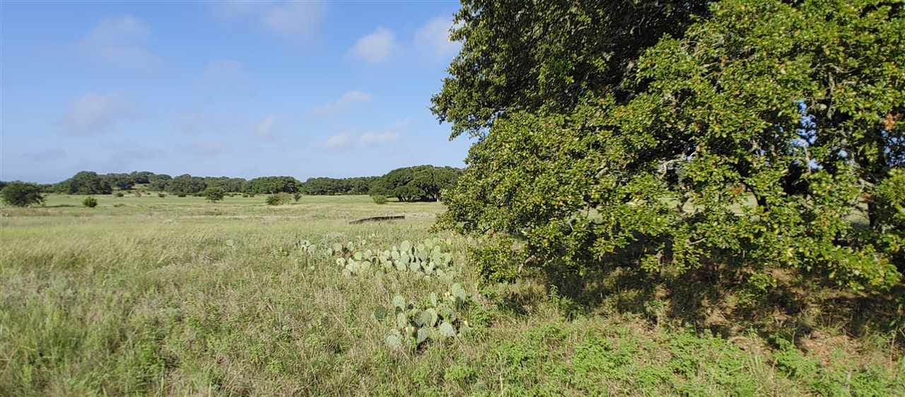 000 Waterbuck Way - Photo 1