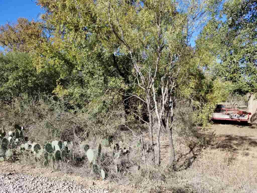 lot 116 Hill Wood - Photo 1