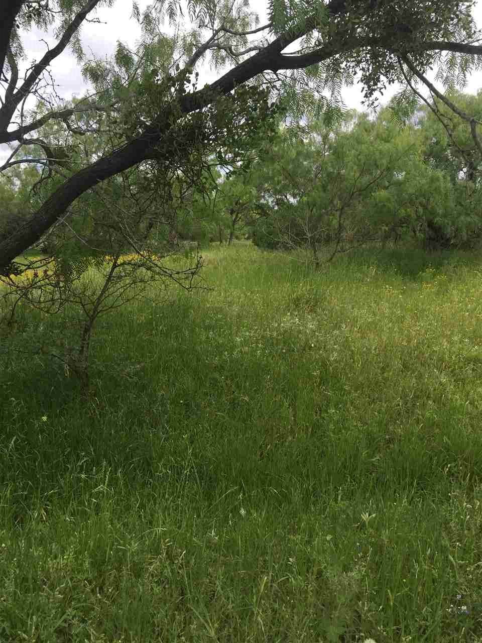 LT 3047 Douglas Drive - Photo 1