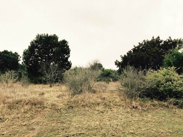 000 Wesley Ridge Drive - Photo 1