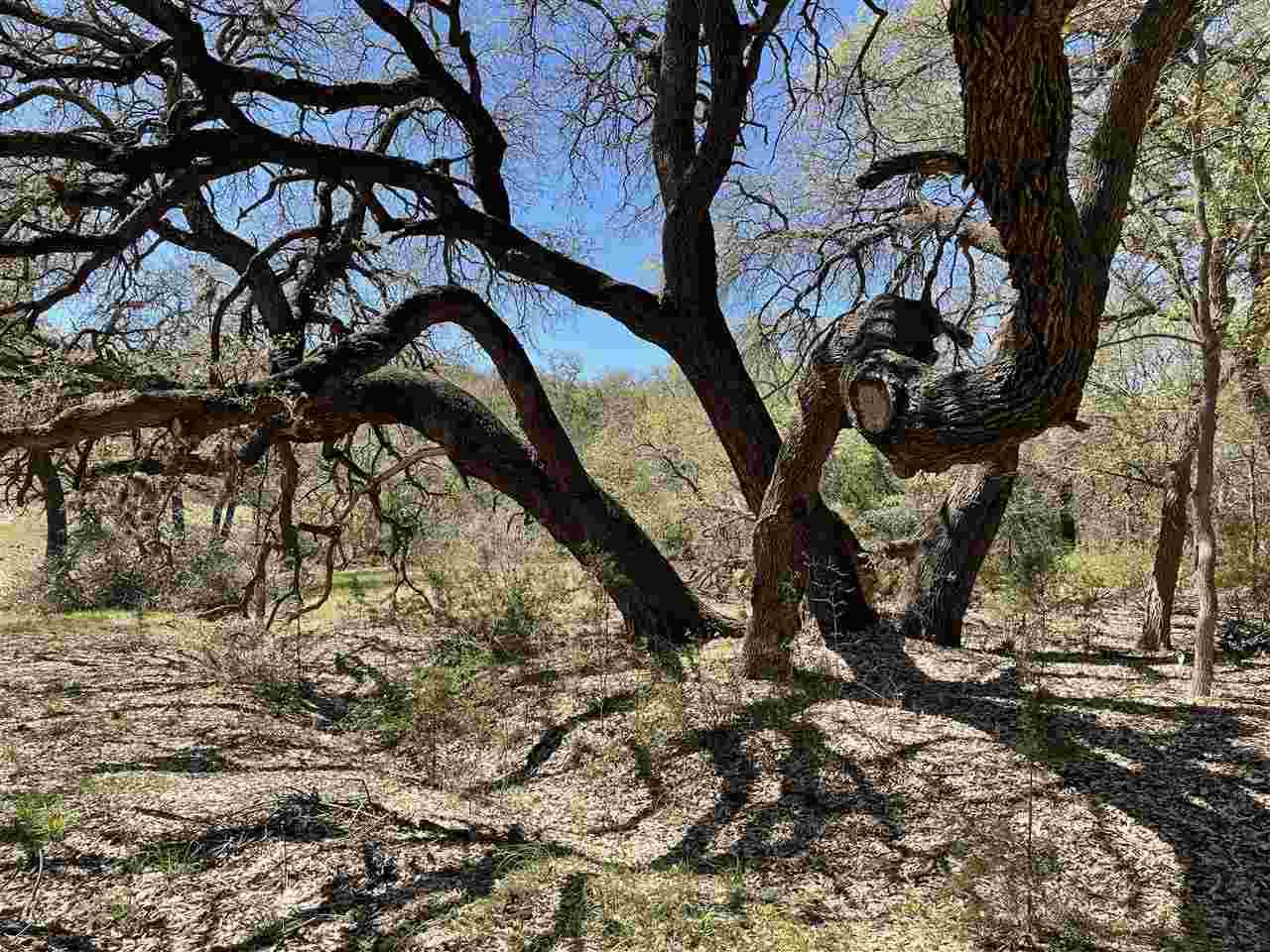 114 Lost Squaw - Photo 1