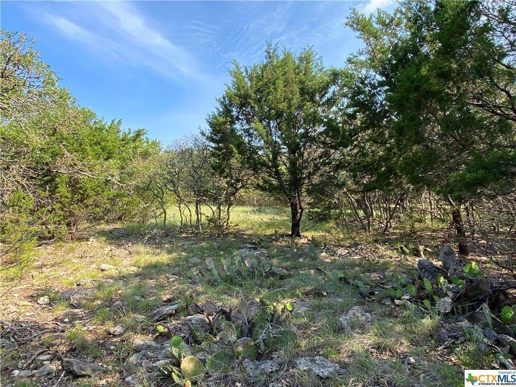 1405 Buckboard - Photo 1