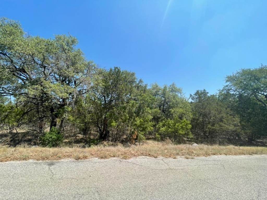 TBD Mountain Dew Road - Photo 1