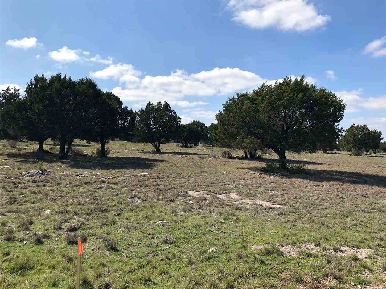 LOT 22044 Long Shot - Photo 1