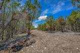 16 Bonita View Ranch Road - Photo 4