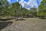 118 Vaquero Dr - Photo 33