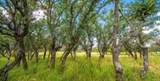 Tract 15 Legacy Oaks Dr - Photo 5