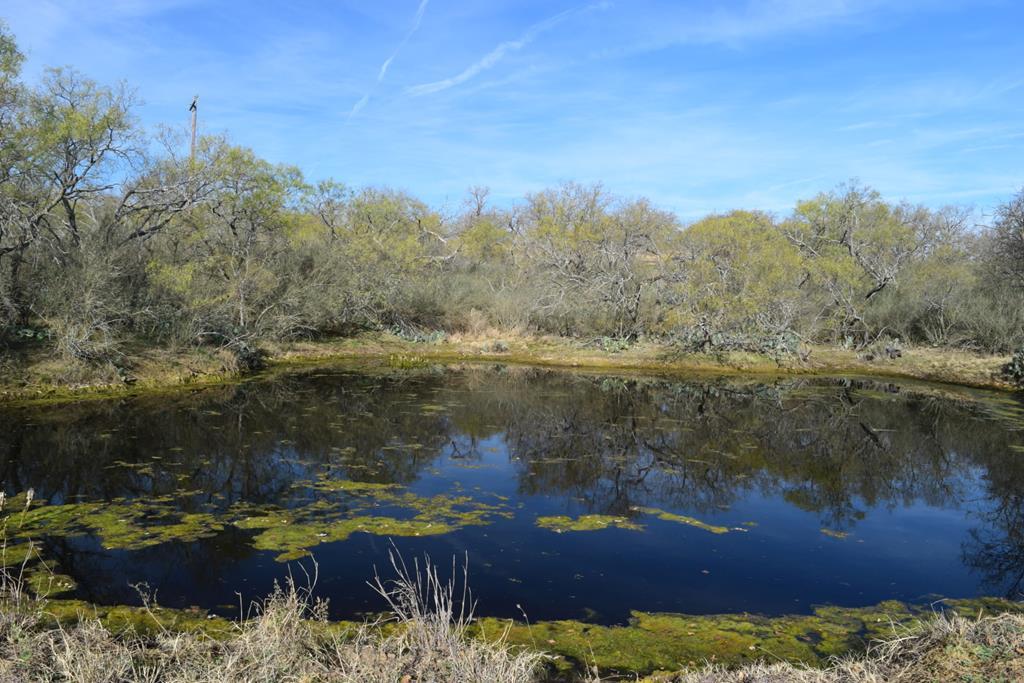 0 Ranch Rd 386 - Photo 1