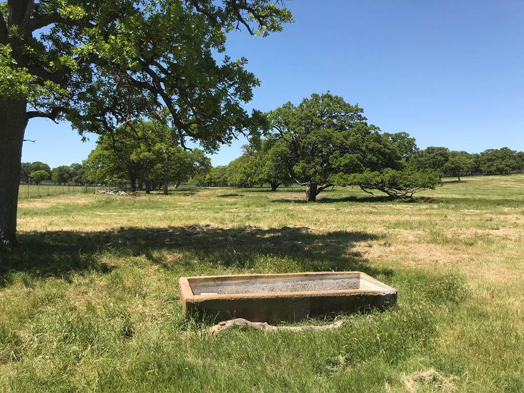 11855 Us Hwy 87 - Photo 1