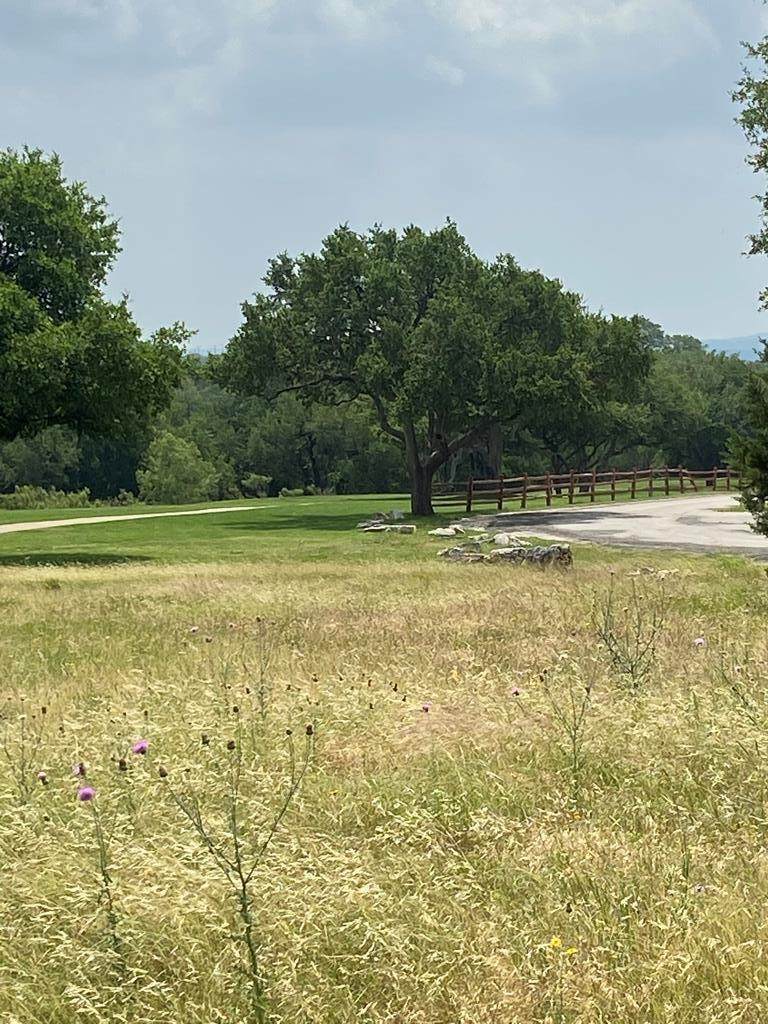 243 Junius Peak - Photo 1