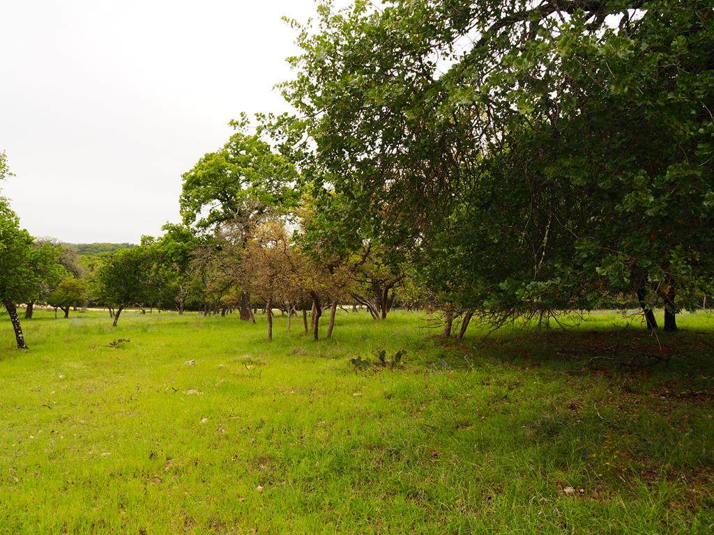 tbd Garrison Road - Photo 1