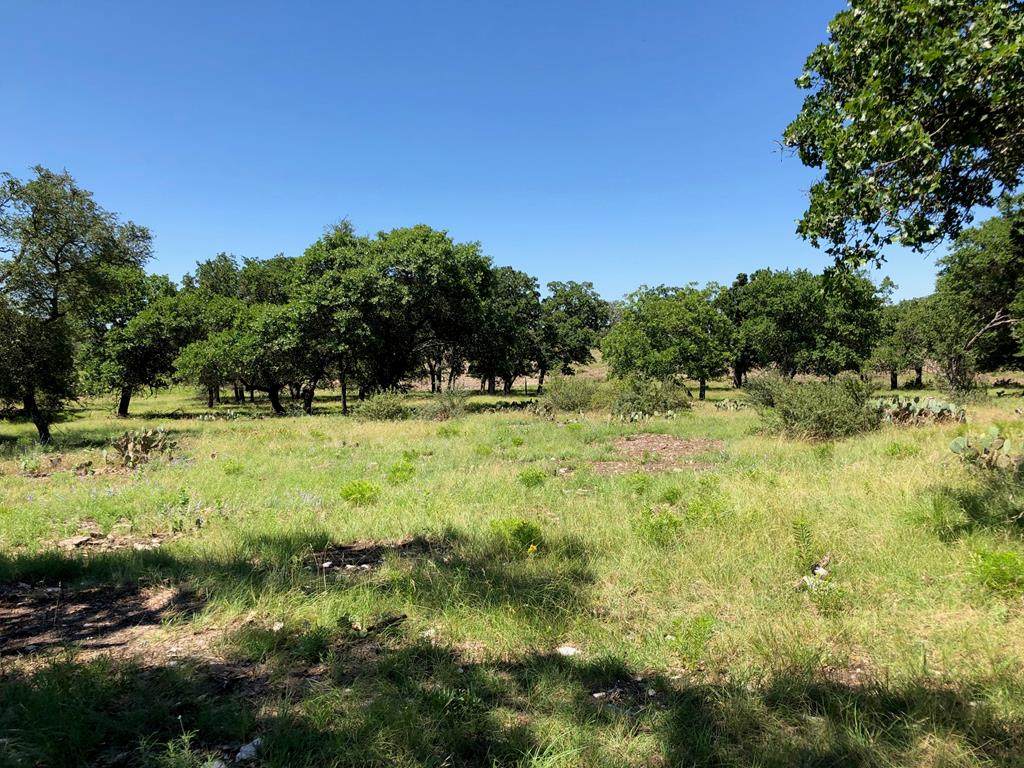00 Old Harper Rd - Photo 1
