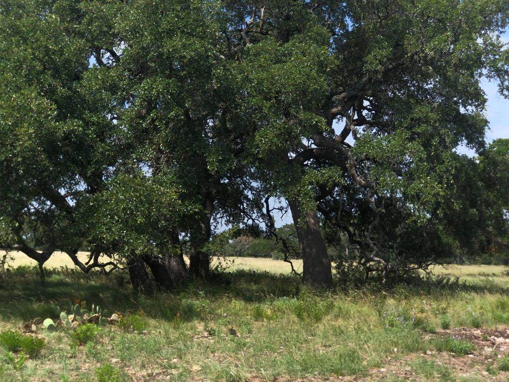 000 Hwy 290 - Photo 1