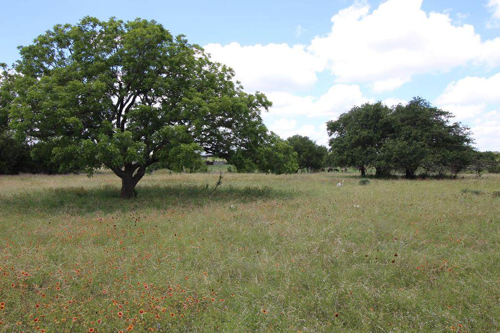 4770 Ranch Rd 1623 - Photo 1