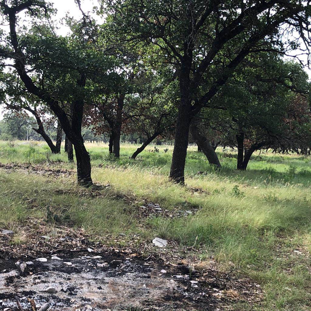 00 Westridge Ln - Photo 1