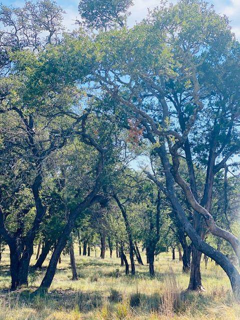 0013 Lower Crabapple Rd - Photo 1