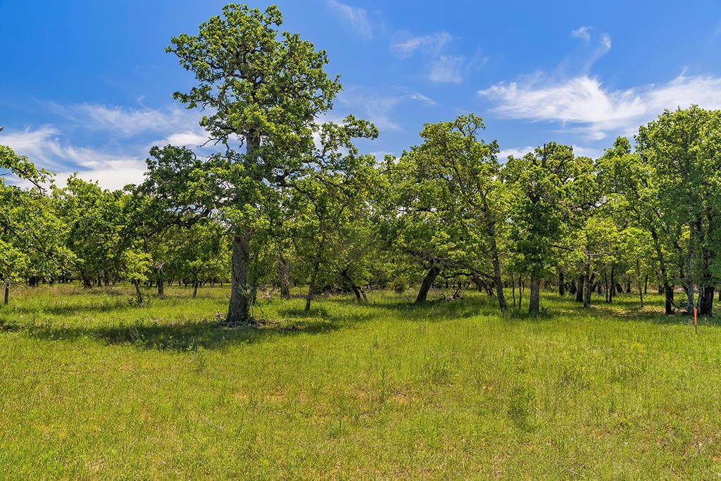 00 Mystic Oaks Trail - Photo 1