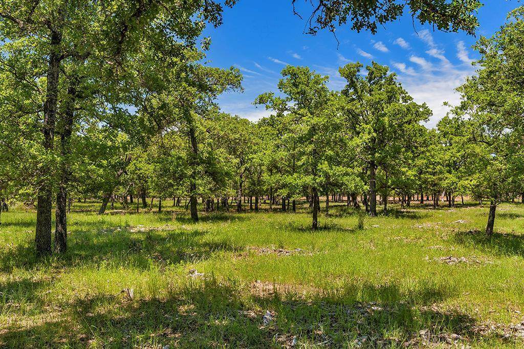 00 Mystic Oaks Trail - Photo 1