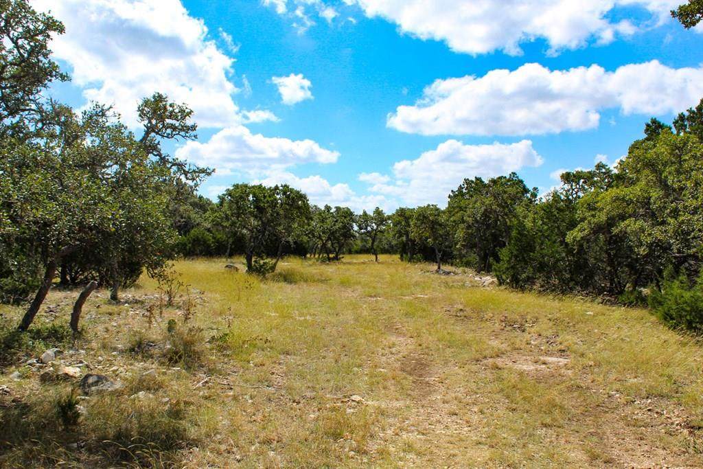 00 Zenner-Ahrens Rd - Photo 1