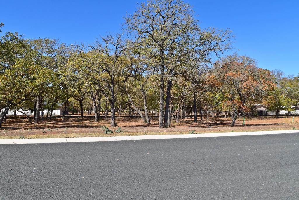 2205 Stone Meadow - Photo 1