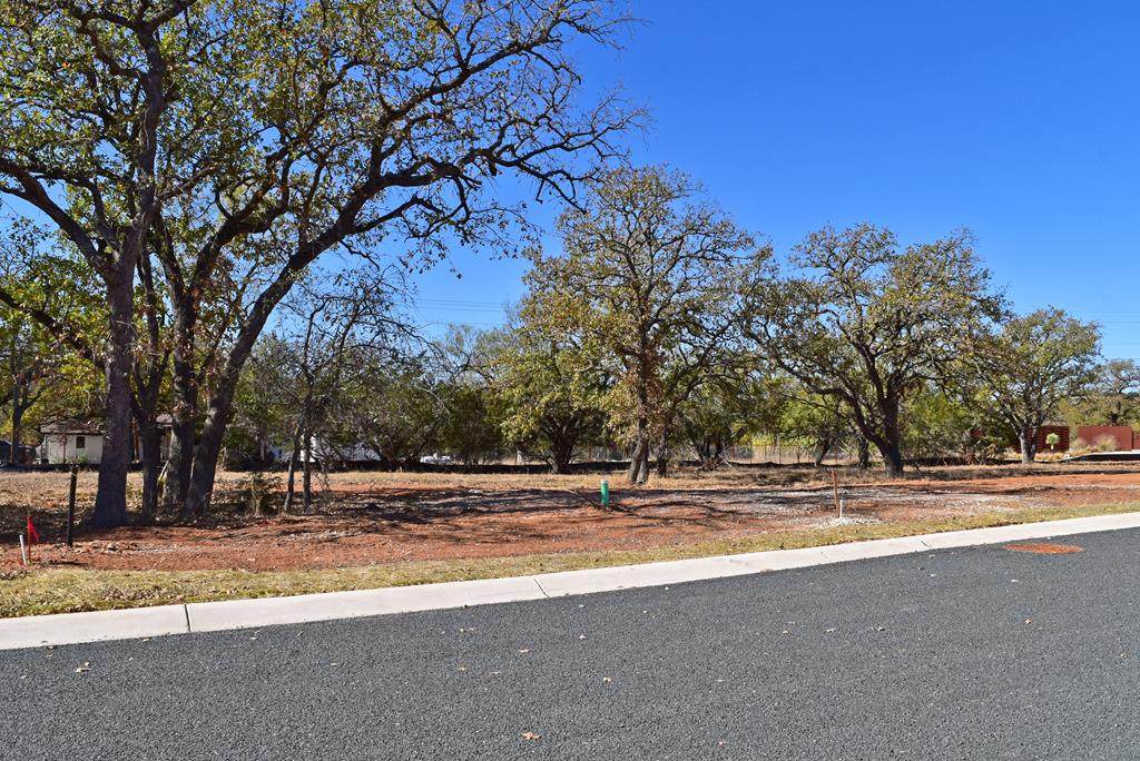 2047 Stone Meadow - Photo 1