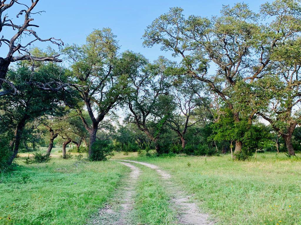5500 Us Hwy 281 - Photo 1