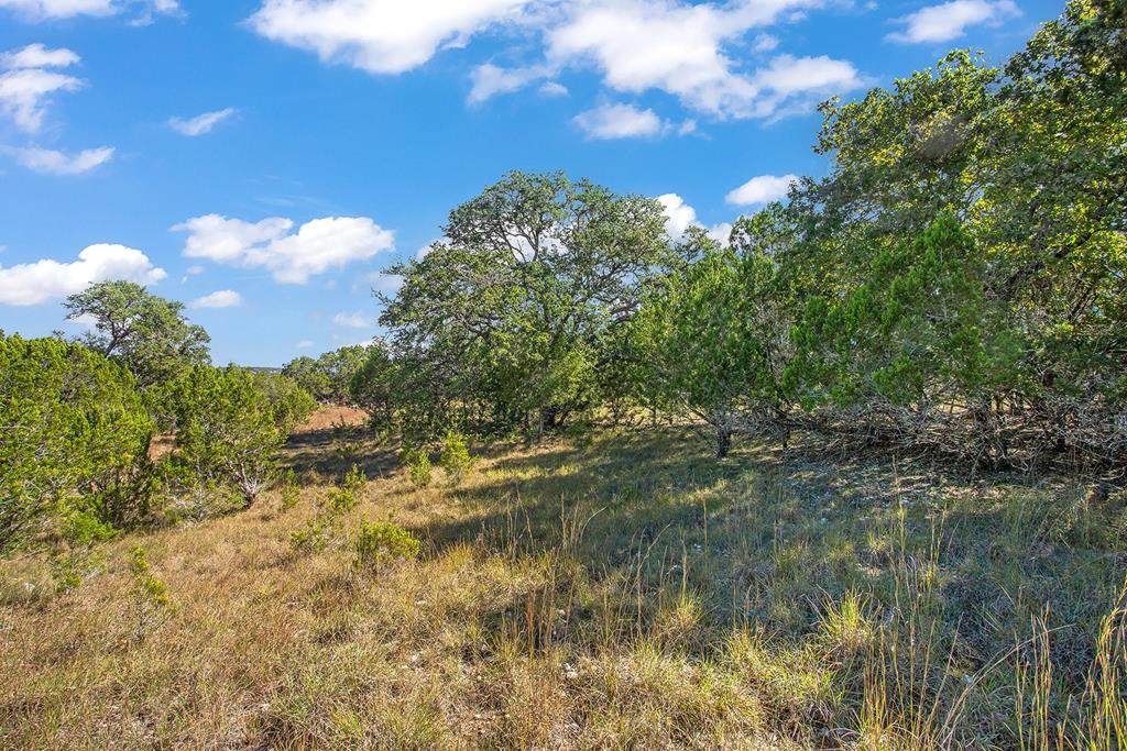 00 Armadillo Run - Photo 1