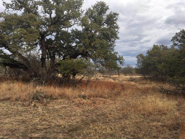 0 Mas-O-Llan County Road - Photo 1