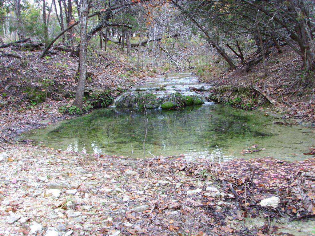 328 Headwaters Ranch Rd - Photo 1