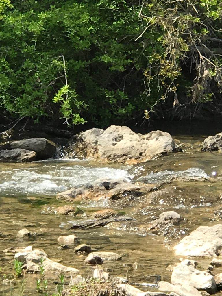5025 State Hwy 16 - Photo 1