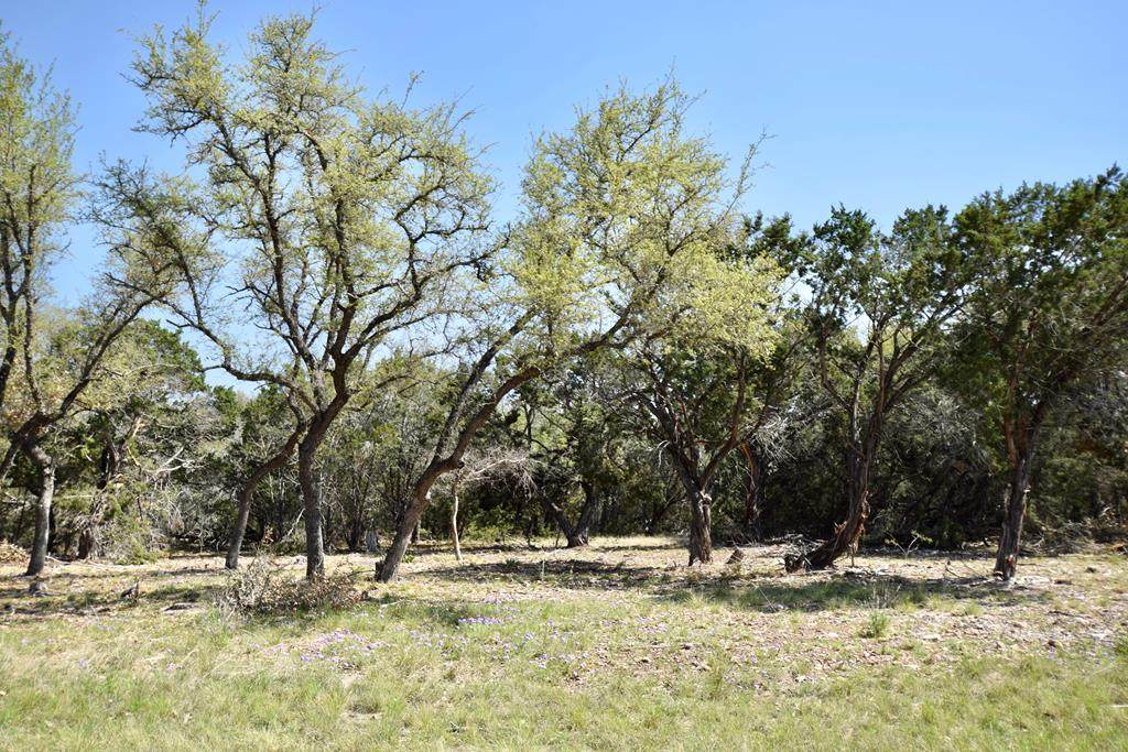 160 Fallow Run - Photo 1