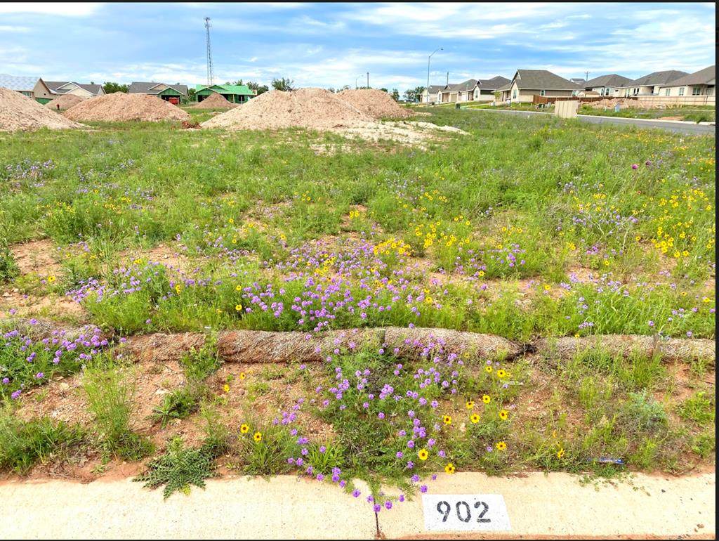 902 Smokey Oak Dr - Photo 1