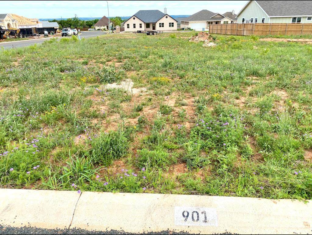 901 Smokey Oak Dr - Photo 1