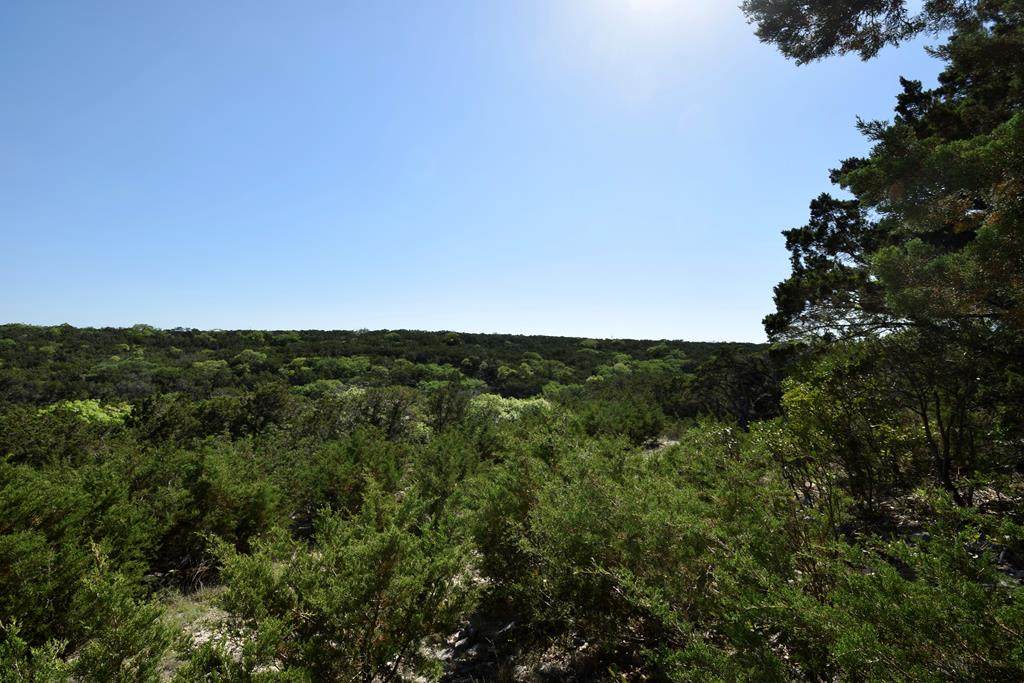 137 Honeycomb Lane - Photo 1