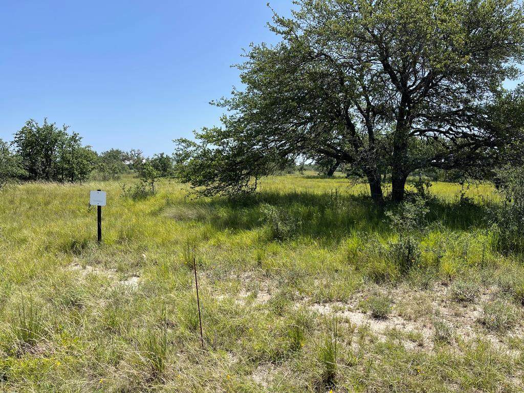 89 Summit Ridge Drive - Photo 1