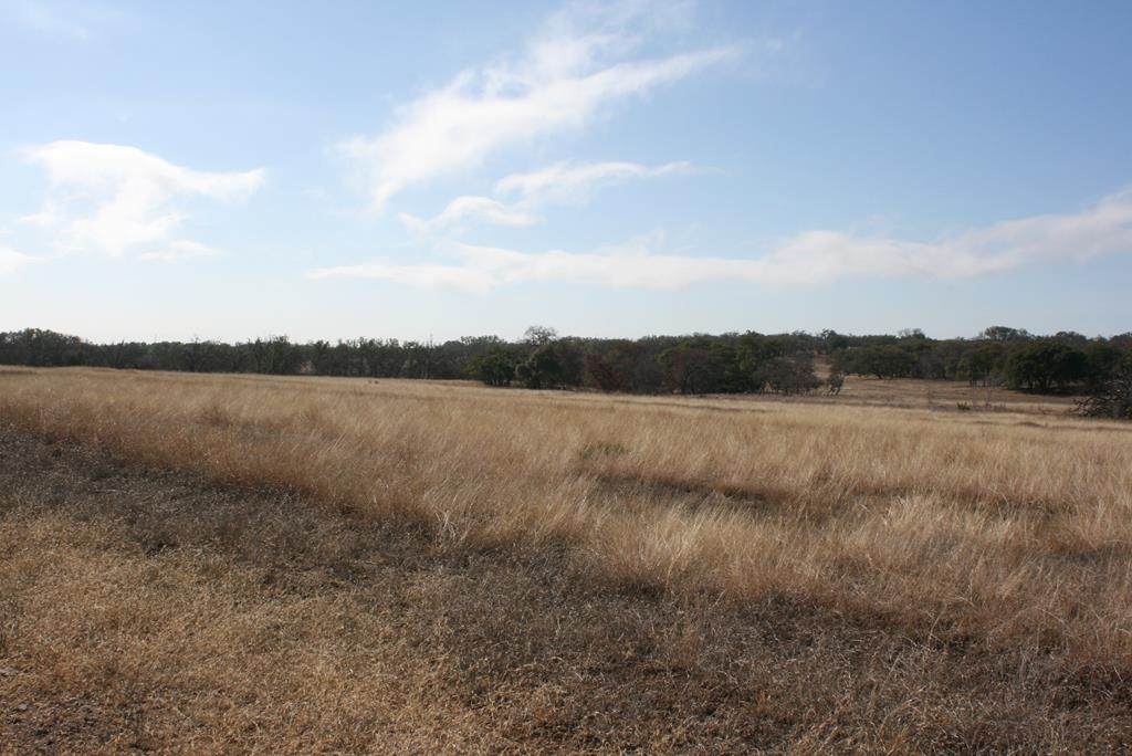 1160 Fm 479 - Photo 1