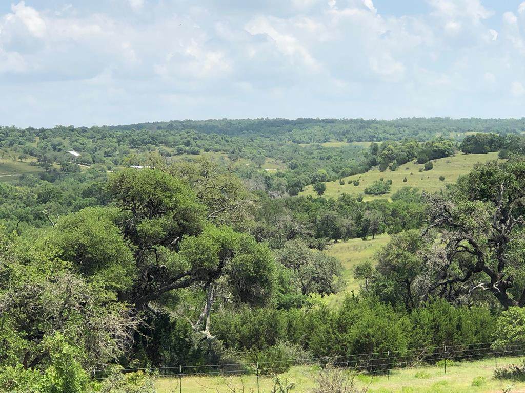 000 Old Comfort Rd - Photo 1