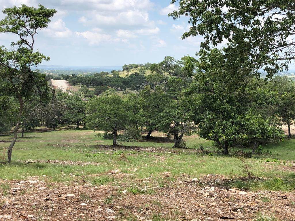 000 Old Comfort Rd - Photo 1